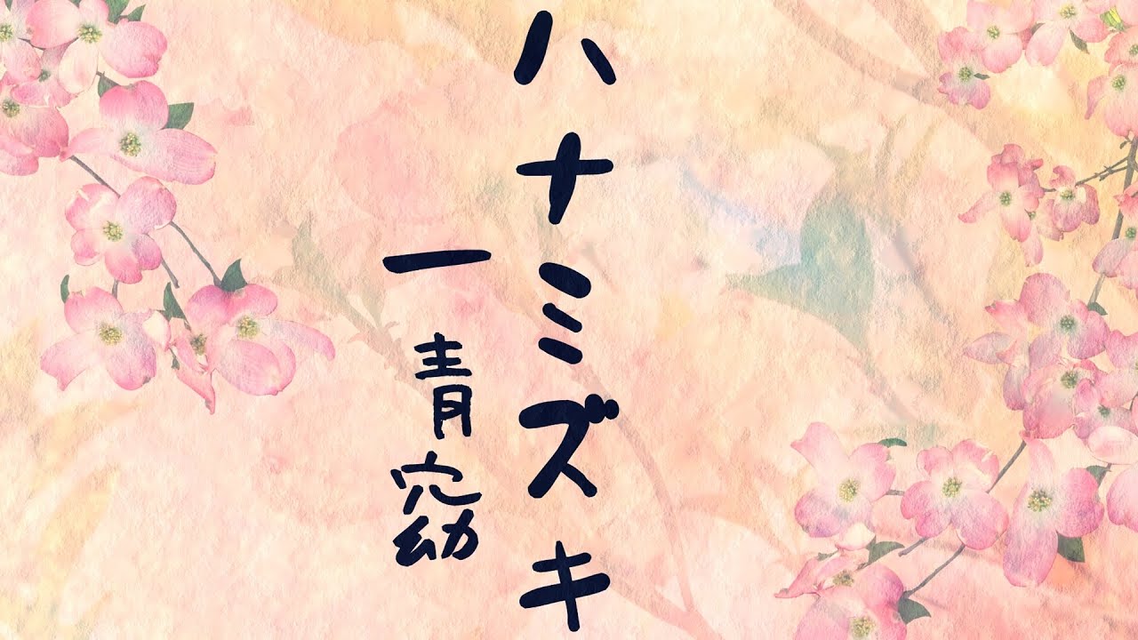 ハナミズキ/一青窈 歌詞付き🌺高音質フル🎧(cover) Hanamizuki - Yo Hitoto