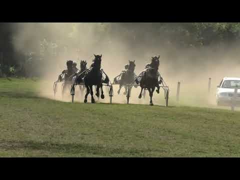 Trka "P.G. Salonski Gospođinci" 28.8.2022. Samsung - Nemanja Mašić