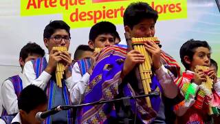 Download lagu Concurso de Música Nueva Acrópolis 2017 _ Perlita León mp3 Download lagu Concurso de Música Nueva Acrópolis 2017 _ Perlita León mp3