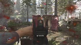 [COD:MW]シージ民が行くコールオブデューティー[配信]