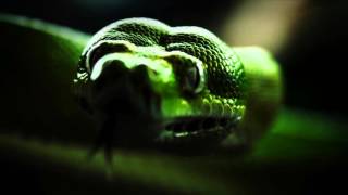 A Place To Bury Strangers   Supermaster OFFICIAL VIDEO