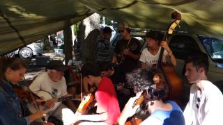 Big Eyed Rabbit Jam - Clifftop 2015