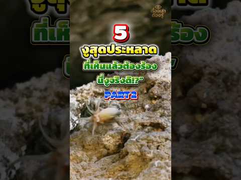5 งูสุดประหลาด ที่เห็นแล้วต้องร้อง…นี่งูจริงดิ!?” (PART 2) #shorts