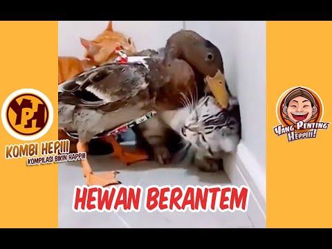 kombi-heppiii-hewan-brerantem