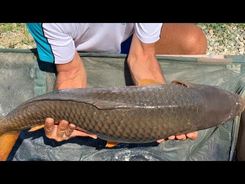 Purcareni Lake 4.08.2021