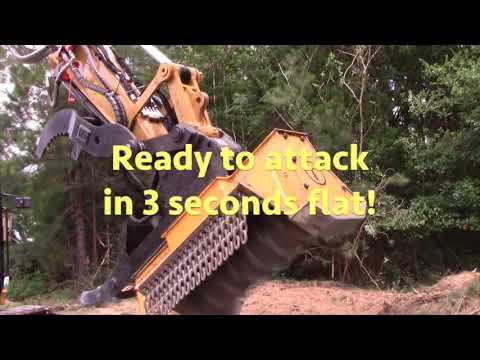 download lagu mp3 mp4 Shark Torrent, download lagu Shark Torrent gratis, unduh video klip Shark Torrent