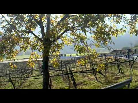 2° Rally Palladio 2011