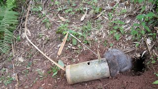 Wild Man Creates Fantastic Bamboo Trap To Catch Bamboo Rat By Calling Bamboo Rat From The Hole