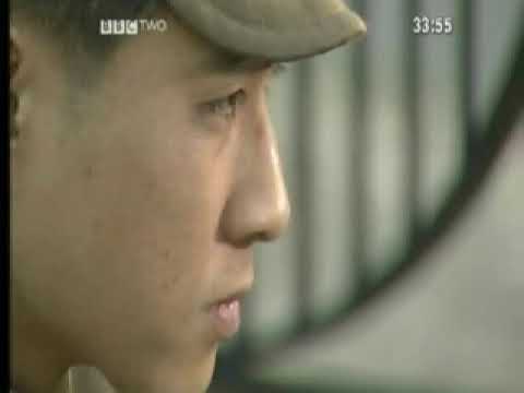 Why did the League of Nations Fail?