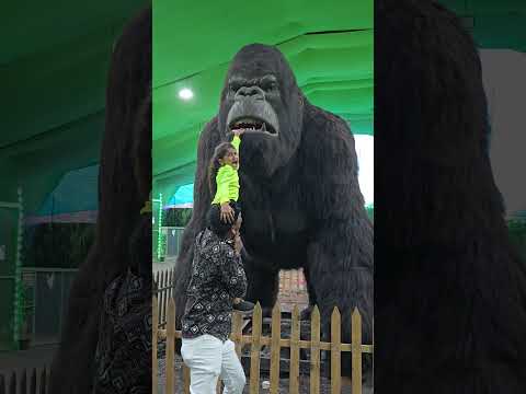 OMG ....... Big Gorilla 😱 #shorts