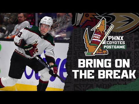 Trevor Zegras and Anaheim Ducks prevail over Connor Ingram and Arizona Coyotes in a heated matchup
