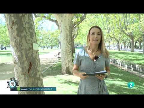 Claves para ayudar a las personas que están tristes. Patricia Ramirez.