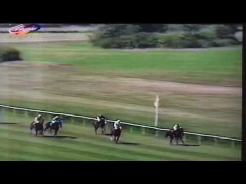 Nagroda Próbna - 3.07.1994 - Sunshine  (Dowsing - Summer Fayre)