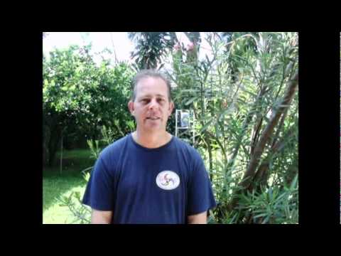 archerych - para-archery 2012 seminar in Greece - greetings from Brasilia .mpg