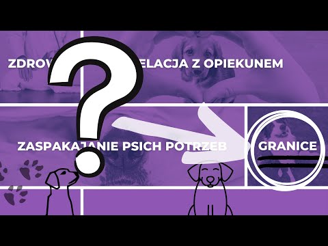 Stawiasz psu granice? Odcinek 6