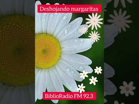 Deshojando margaritas de Hugo Midón y Carlos Gianni