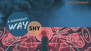 A Different Way (Noizu Remix) x Shy (CID Remix) ( DJ Lexon Bootleg )