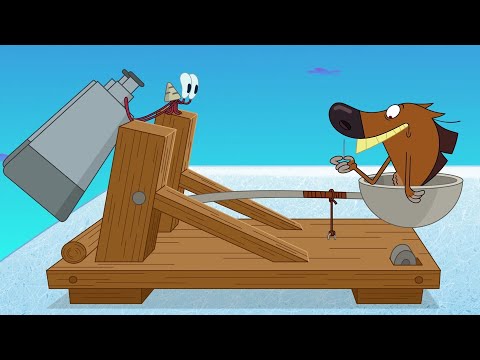 The Final Trick! | Zig & Sharko - The Adventures of Bernie | Cartoons for Kids