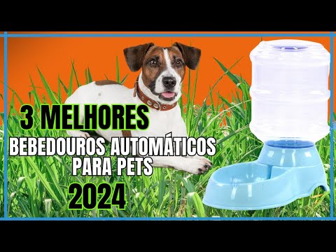 Top 3 Bebedouros Automáticos 2024 - Qual Melhor Bebedouro Automático para Pet