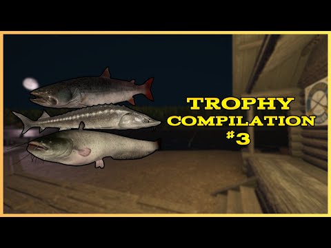 TROPHY COMPILATION #2 (Russian Fishing 4)