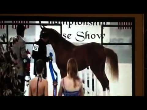 CW FaustoMajik Lugano 2010 14 Winner