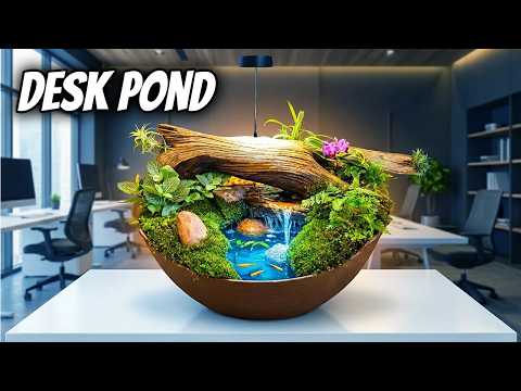 DIY Mini Desk Pond With Exotic Micro Fish