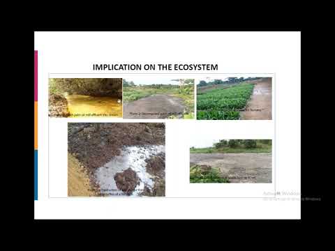 MSProadmap / CAMEROON - Presentation by Ivan Amungwa Tabikam