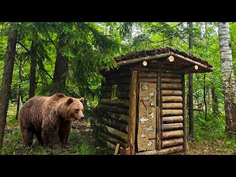 The Bear attacked me. Building a Forest Hut and surviving in the forest for 9 DAYS