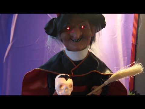 TELCO Halloween Witch Skull  Animated Lights Decoration