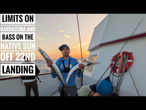 22nd Sportfishing