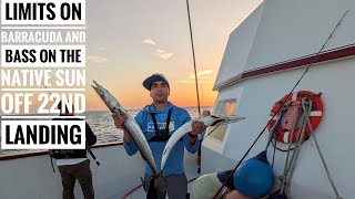 22nd landing Sportfishing Twilight trip limits on barracuda and bass 