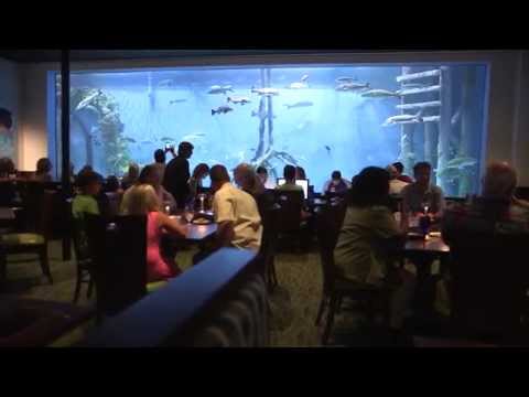 RumFish Grill on St. Pete Beach