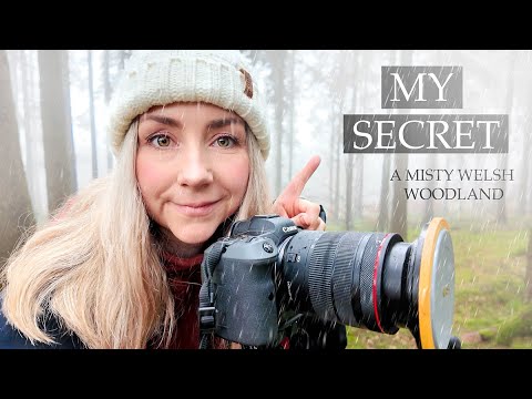My SECRET tips to the BEST Woodland Photography - Landscape with Canon R5 Mirrorless