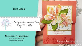 Lingette Grenouille Watch Hd Mp4 Videos Download Free