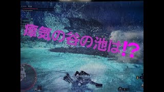 【MHW】《弓視点》　池ポチャで　ヒロボー瀕死