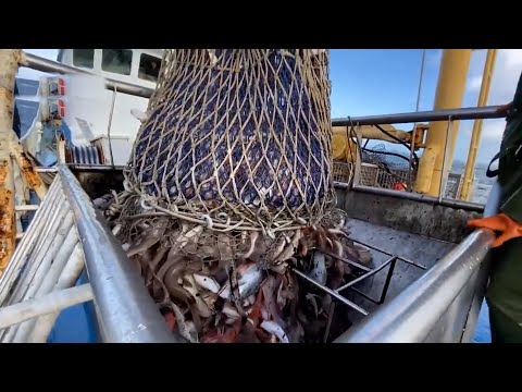Amazing Big Catching on The Sea With Modern Giant Boat - Amazing Giant Fishing Net You Never Seen
