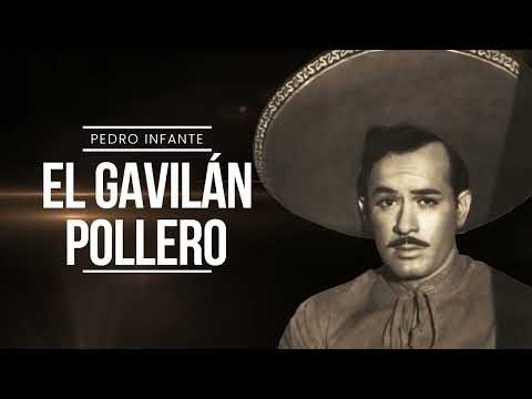 El Gavilan Pollero - Pedro Infante