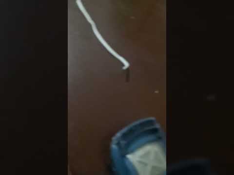 rate my mustang #music #phonk #spedup #voiceeffects  #nightcore