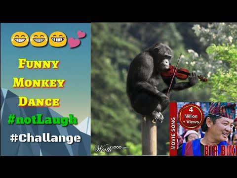 New Nepali Movie - "Bir Bikram" Song || Tal Tal Talkine | Dayahang & Rajesh Payal Rai | Comedy Dance