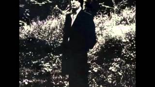 Alain Bashung - L'imprudence (FULL ALBUM)