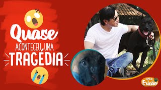 QUASE ACONTECEU UMA TRAGDIA! - FAMLIA ERICO