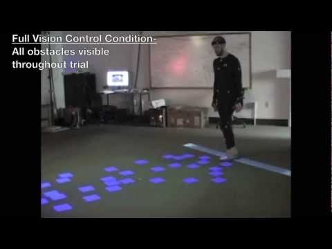 Visual control of foot placement when walking over complex terrain