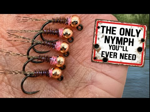 The DEADLIEST Pheasant Tail Nymph You'll EVER Use