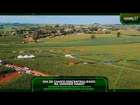 Coagru Informativo - Dia de Campo de Milho em Anahy