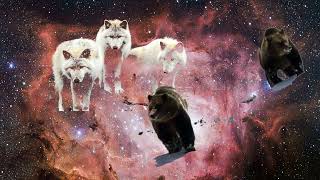 Coyote Arranges the Stars