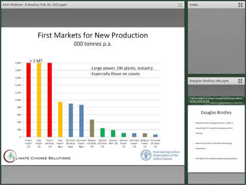 Markets of pyrolysis oil from wood wastes