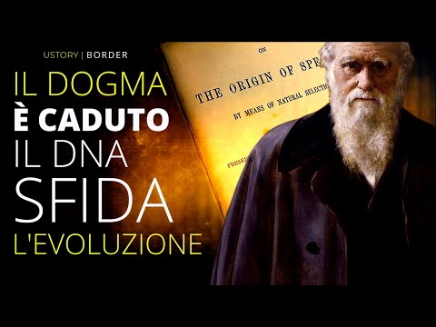 DNA Challenges Evolutionary Theory and Opens Up New Questions That Cannot Be Ignored