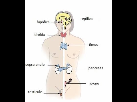 Ceață în fața ochilor cu miopie