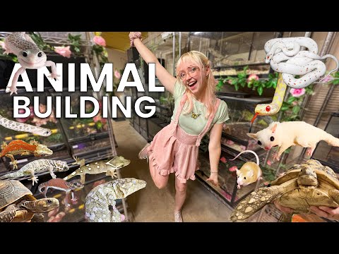 My ANIMAL BUILDING! 100+ PETS & Reptiles tour!