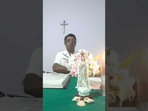 João Batista Campos - Centro Espírita Obras de Caridade Príncipe Espadarte